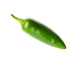 Photo of One whole green jalapeno pepper isolated on white