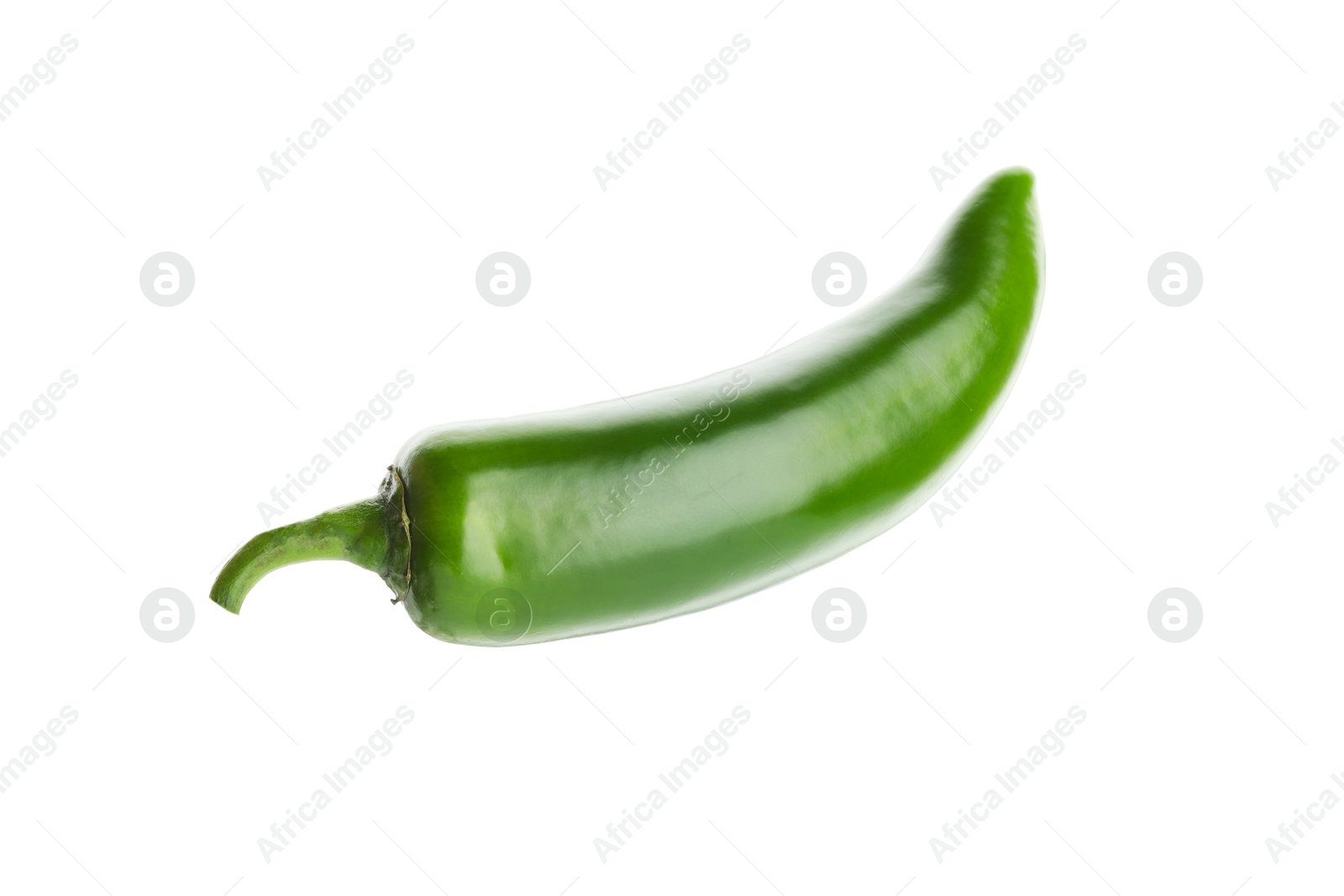 Photo of One whole green jalapeno pepper isolated on white