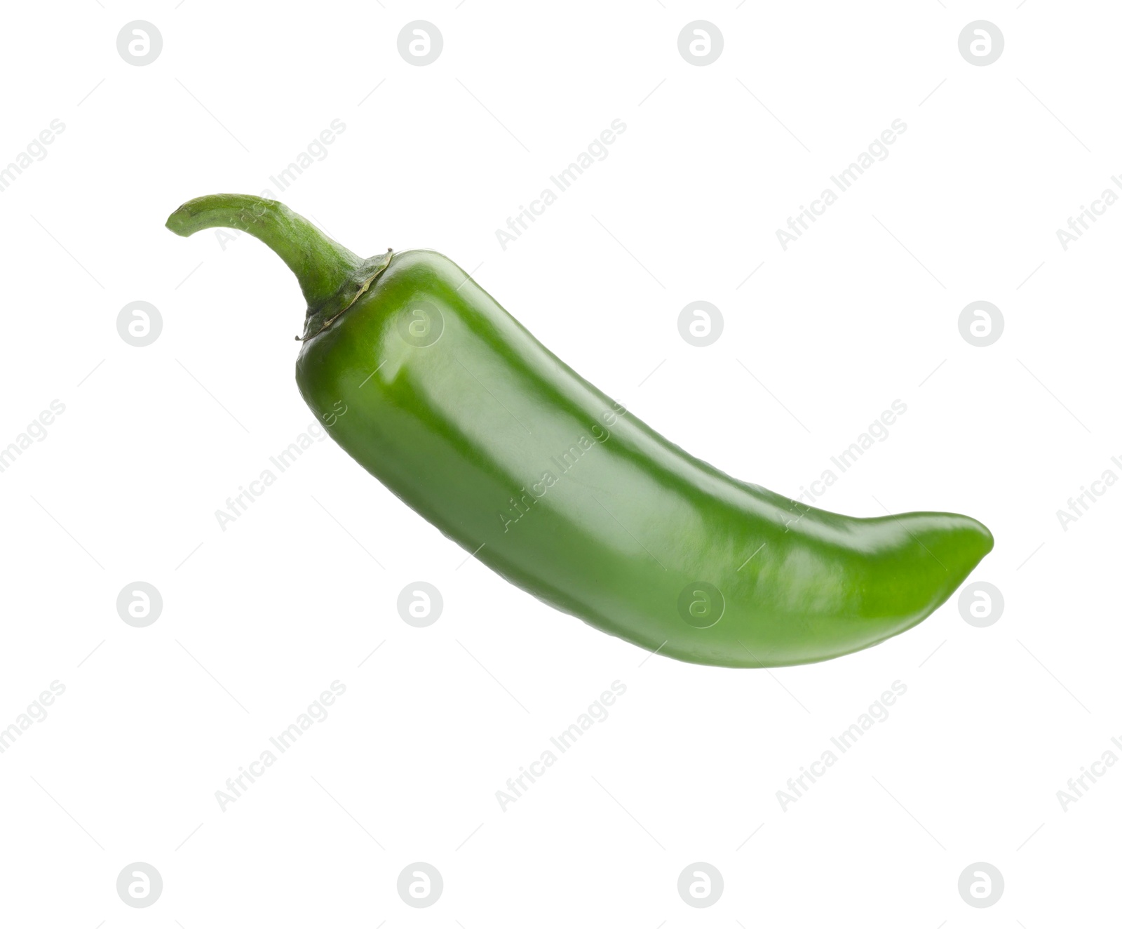 Photo of One whole green jalapeno pepper isolated on white