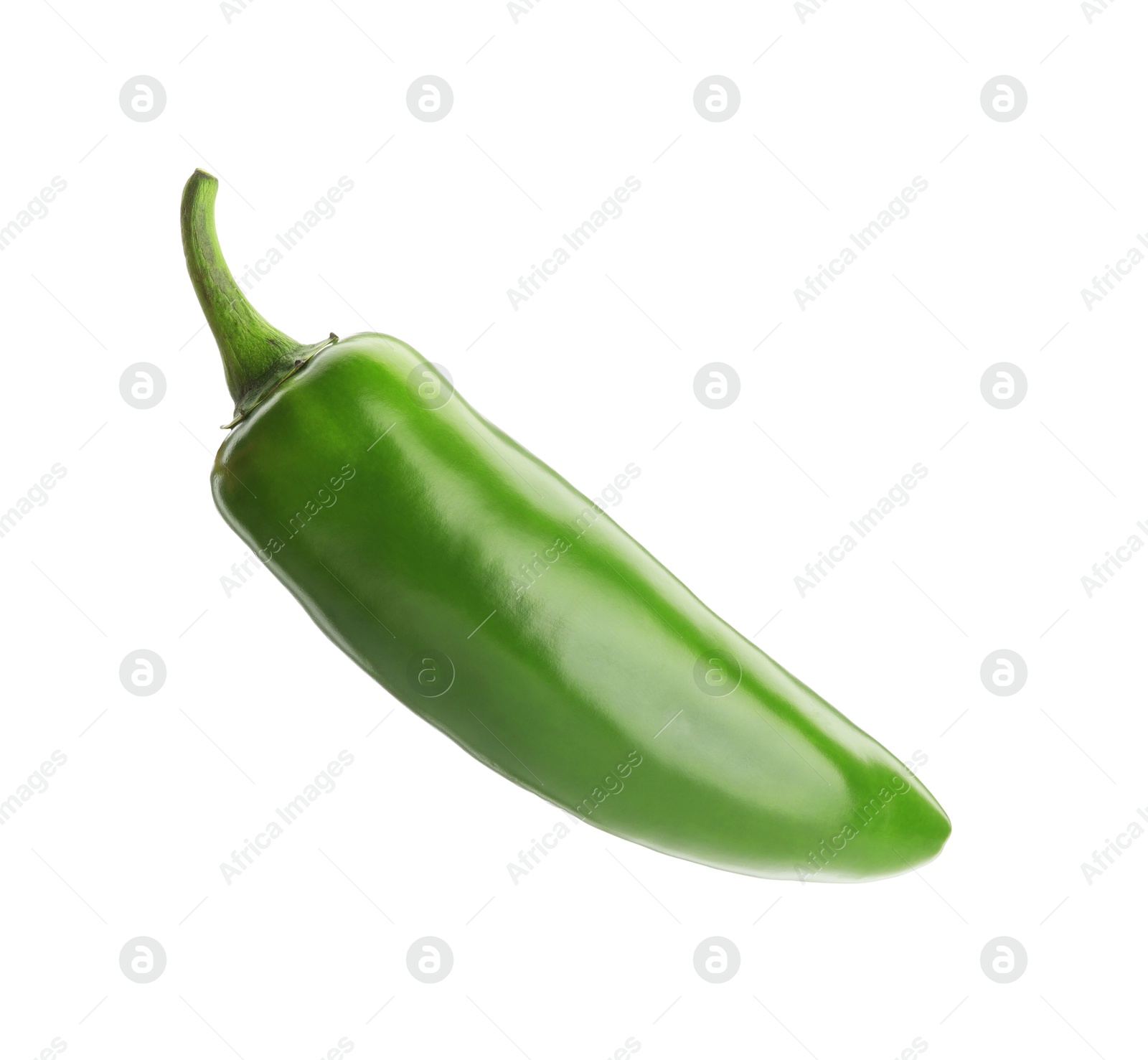 Photo of One whole green jalapeno pepper isolated on white