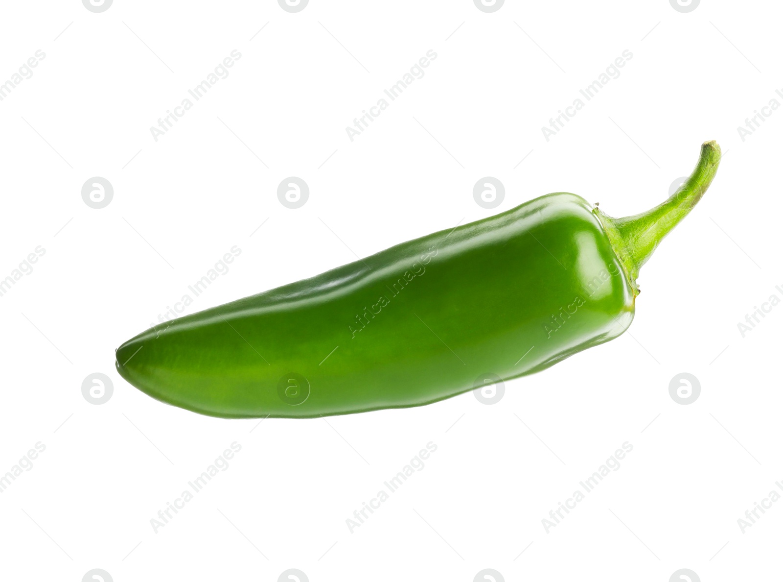 Photo of One whole green jalapeno pepper isolated on white