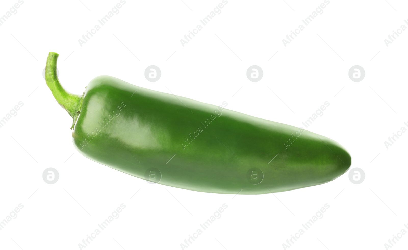 Photo of One whole green jalapeno pepper isolated on white
