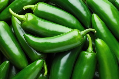 Photo of Many green jalapeno peppers as background, closeup