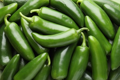 Photo of Many green jalapeno peppers as background, closeup