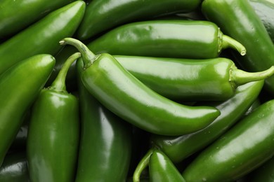 Photo of Many green jalapeno peppers as background, closeup