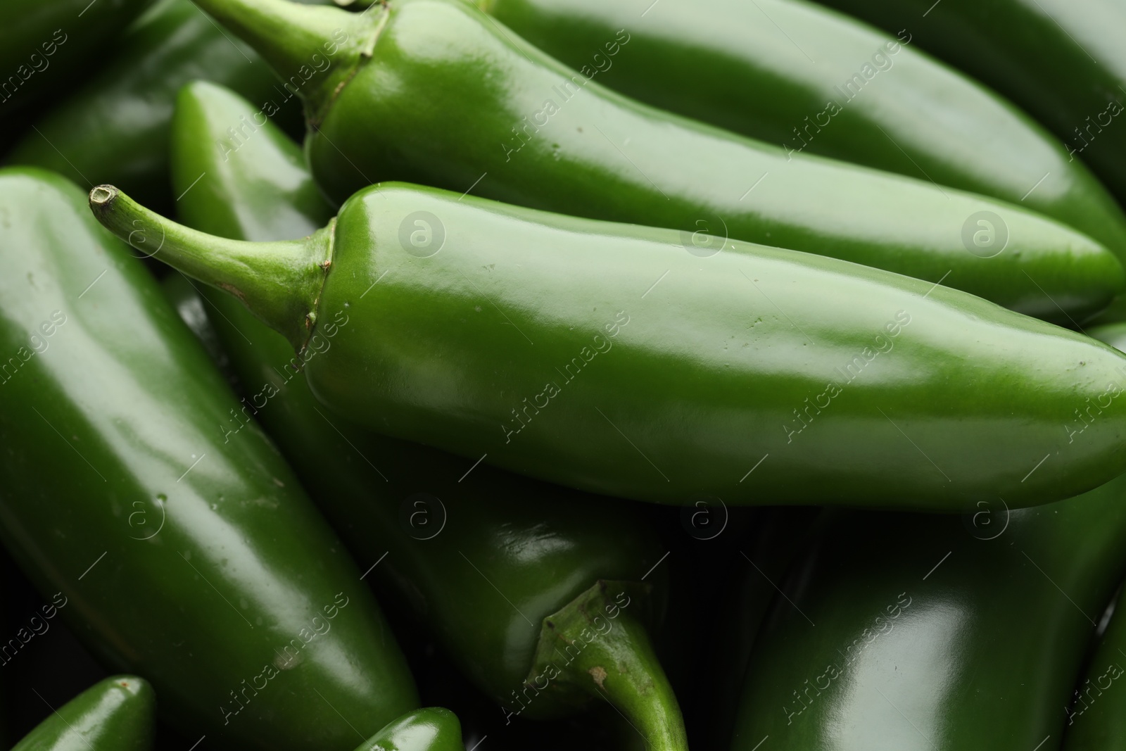 Photo of Many green jalapeno peppers as background, closeup
