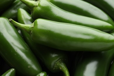 Photo of Many green jalapeno peppers as background, closeup
