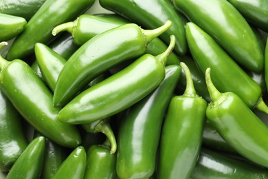 Photo of Many green jalapeno peppers as background, closeup