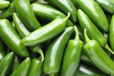 Photo of Many green jalapeno peppers as background, closeup