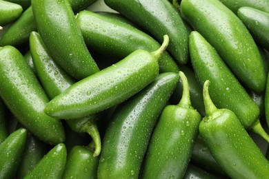 Photo of Many wet green jalapeno peppers as background, closeup