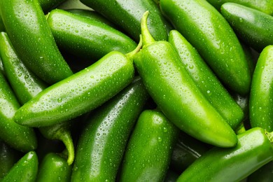 Photo of Many wet green jalapeno peppers as background, closeup