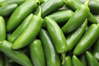 Photo of Many wet green jalapeno peppers as background, closeup