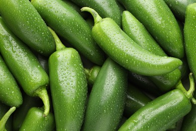 Photo of Many wet green jalapeno peppers as background, closeup