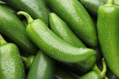 Photo of Many wet green jalapeno peppers as background, closeup