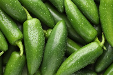 Photo of Many wet green jalapeno peppers as background, closeup