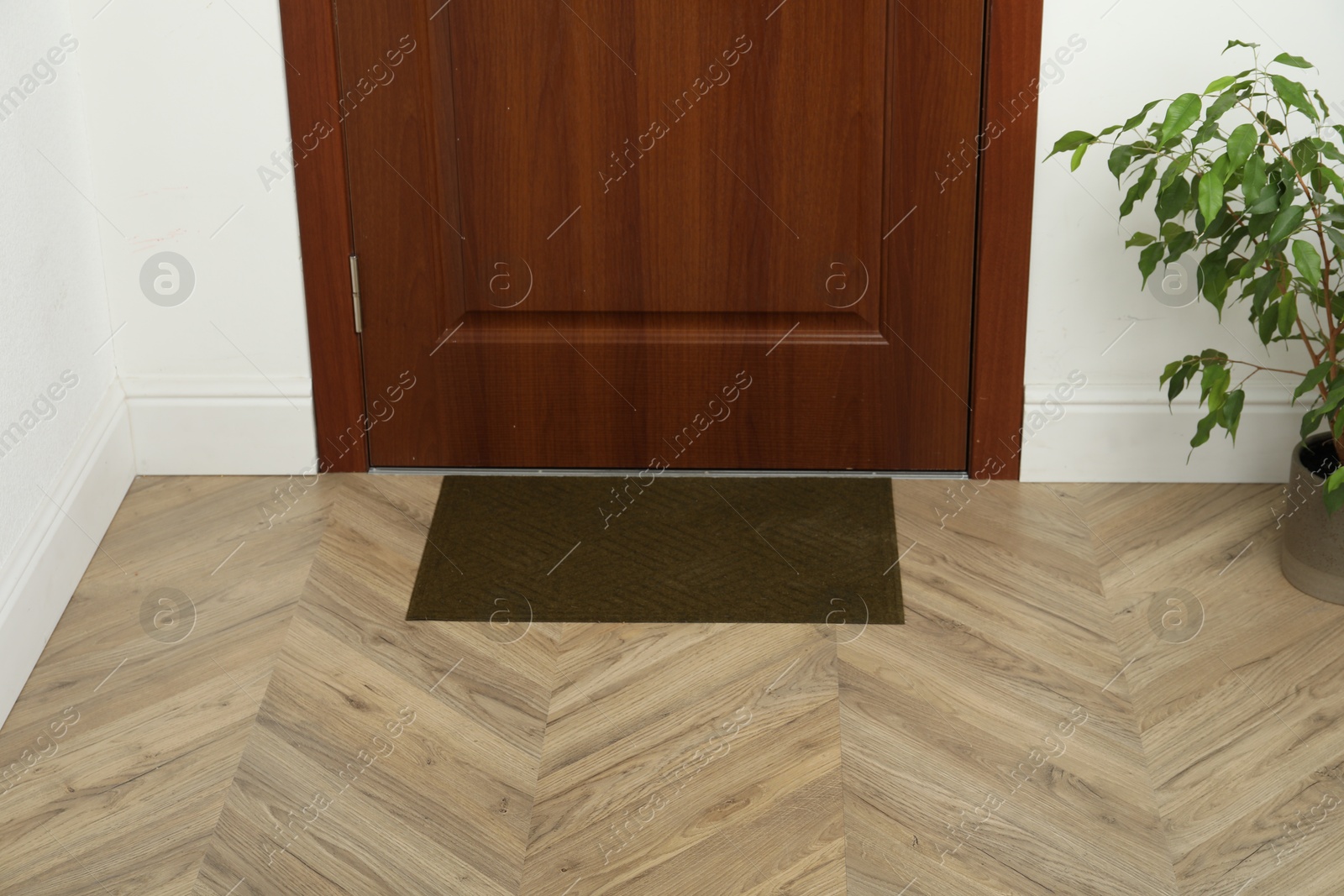 Photo of New clean green mat near entrance door