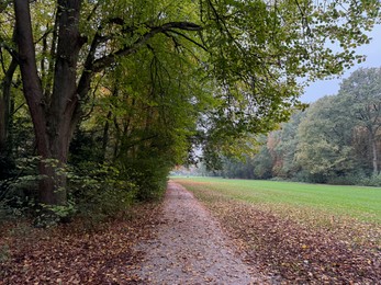 Photo of Beautiful view of pathway with fallen leaves in autumn park