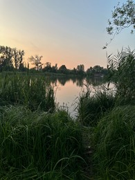 Photo of Beautiful view of lake and green plants outdoors