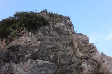 Photo of View of rocky cliff against blue sky