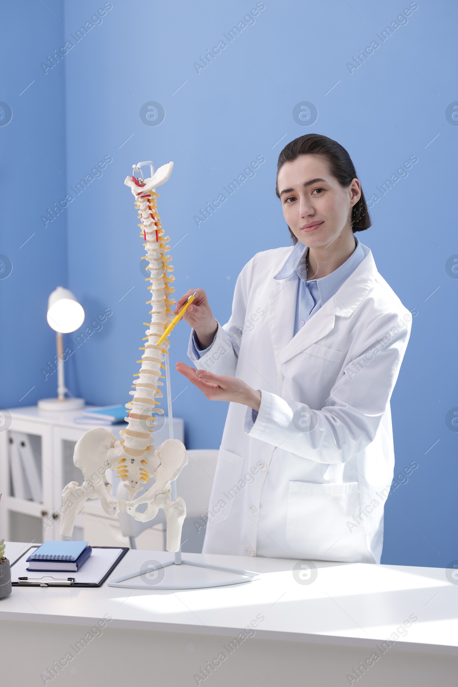 Photo of Doctor pointing at sections of human spine model at desk in clinic