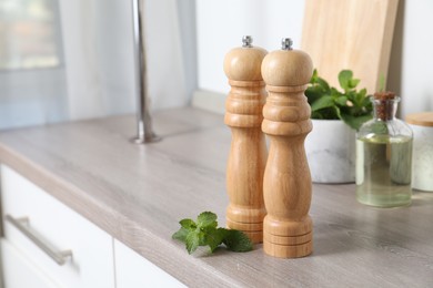 Photo of Salt, pepper mills and mint on grey wooden counter indoors, closeup. Space for text