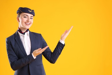 Photo of Beautiful stewardess showing something on yellow background. Space for text