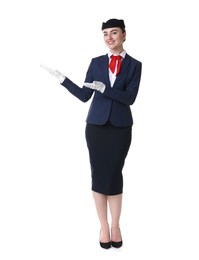 Photo of Beautiful stewardess showing something on white background