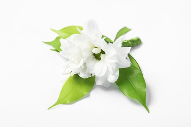 Photo of Boutonniere with beautiful flowers on white background, closeup