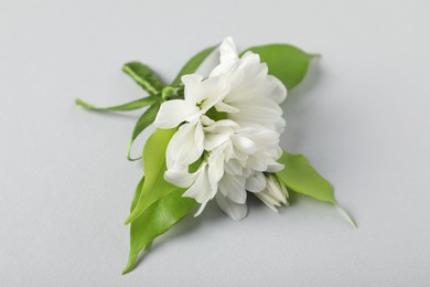 Photo of Boutonniere with beautiful flowers on light background, closeup