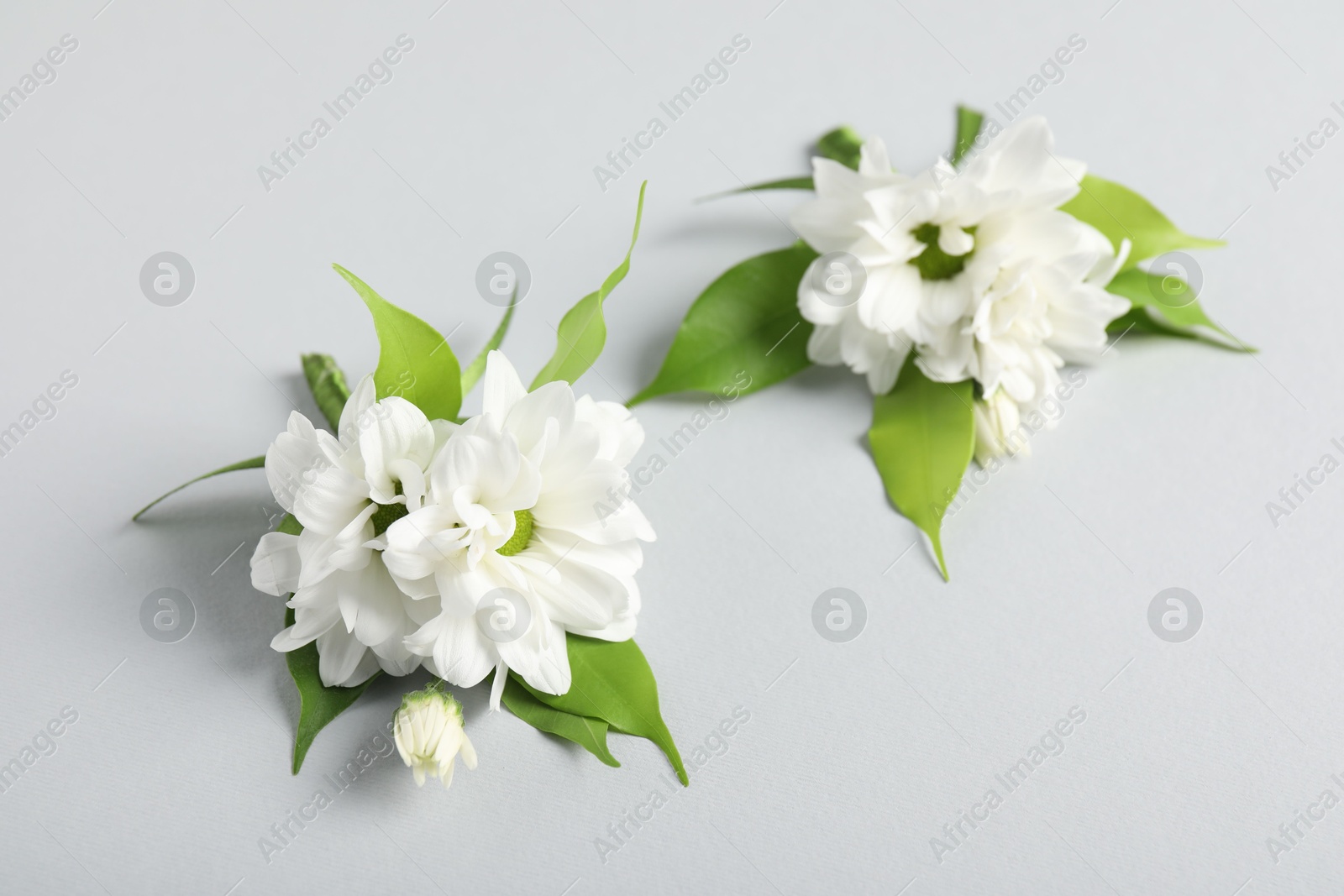 Photo of Boutonnieres with beautiful flowers on light background, closeup