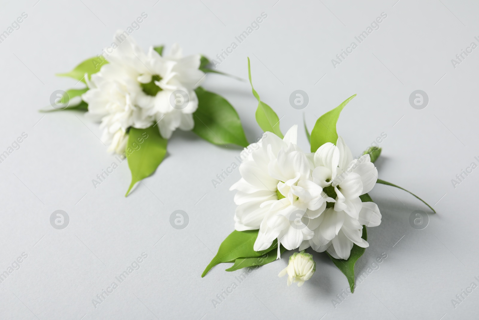 Photo of Boutonnieres with beautiful flowers on light background, closeup