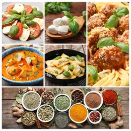 Image of Seasoned taste. Collection of dishes with added herbs and set of spices