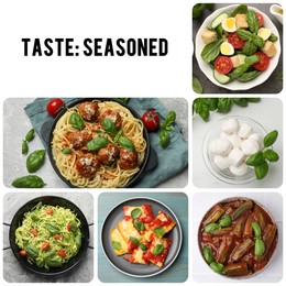 Image of Seasoned taste. Collection of dishes with added basil on white background, top view