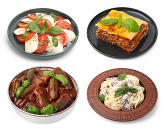 Image of Seasoned taste. Collection of dishes with added basil on white background