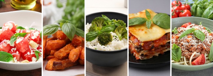 Image of Seasoned taste. Collection of dishes with added basil