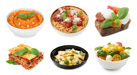 Image of Seasoned taste. Collection of dishes with added basil on white background