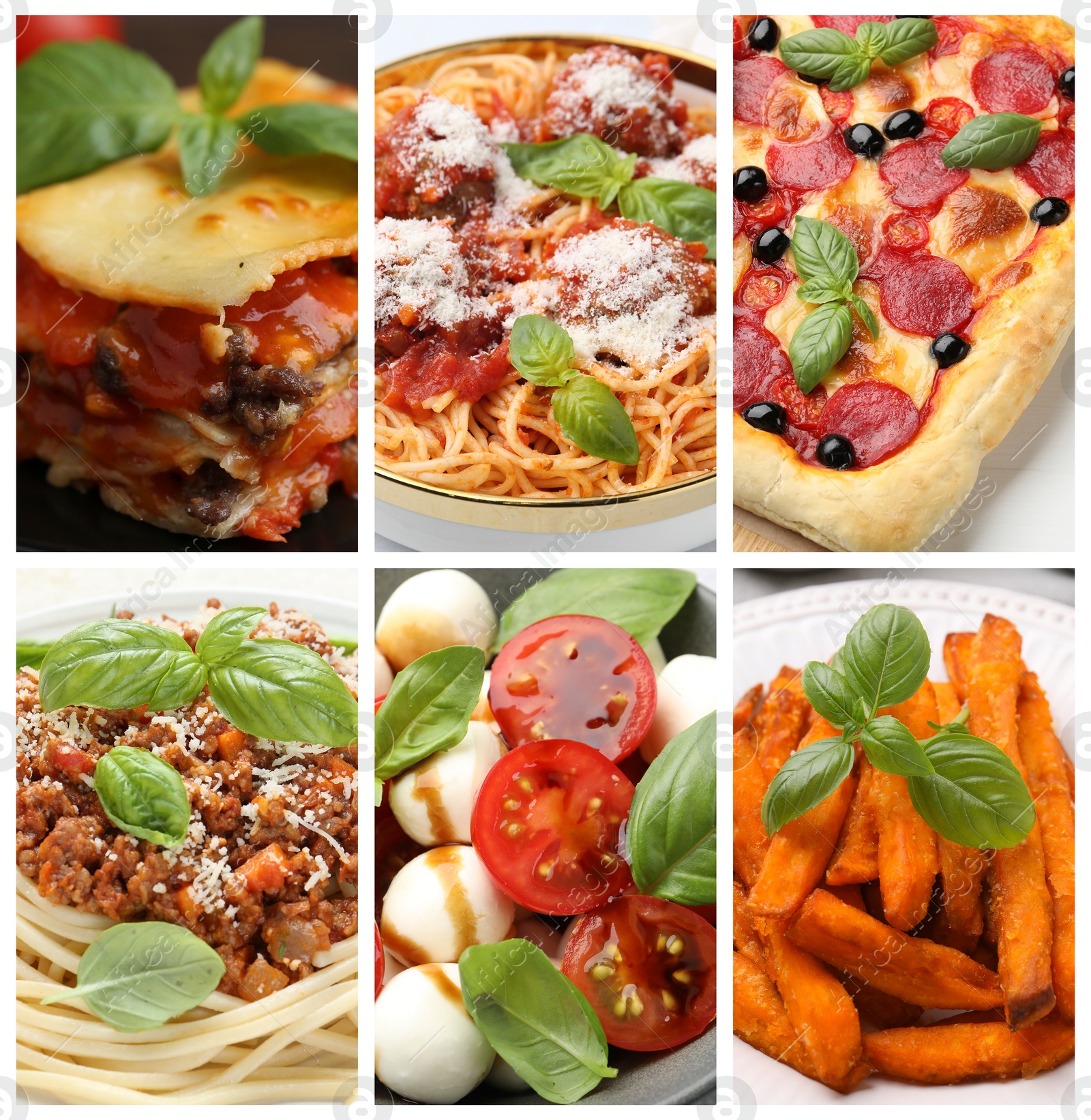 Image of Seasoned taste. Collection of dishes with added basil