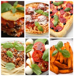 Image of Seasoned taste. Collection of dishes with added basil