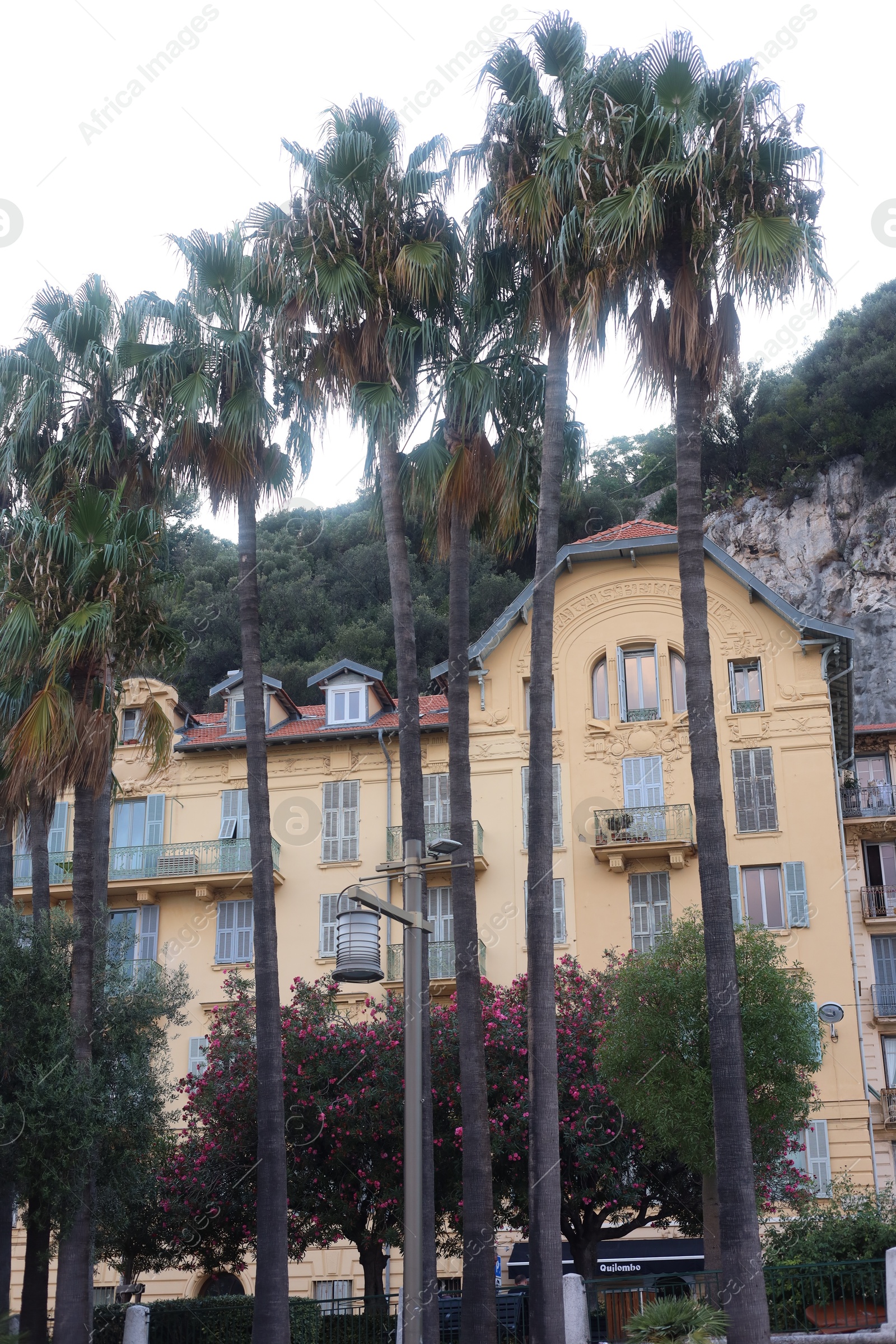 Photo of Nice, France - August 24, 2025: Picturesque view of palm trees near building in city