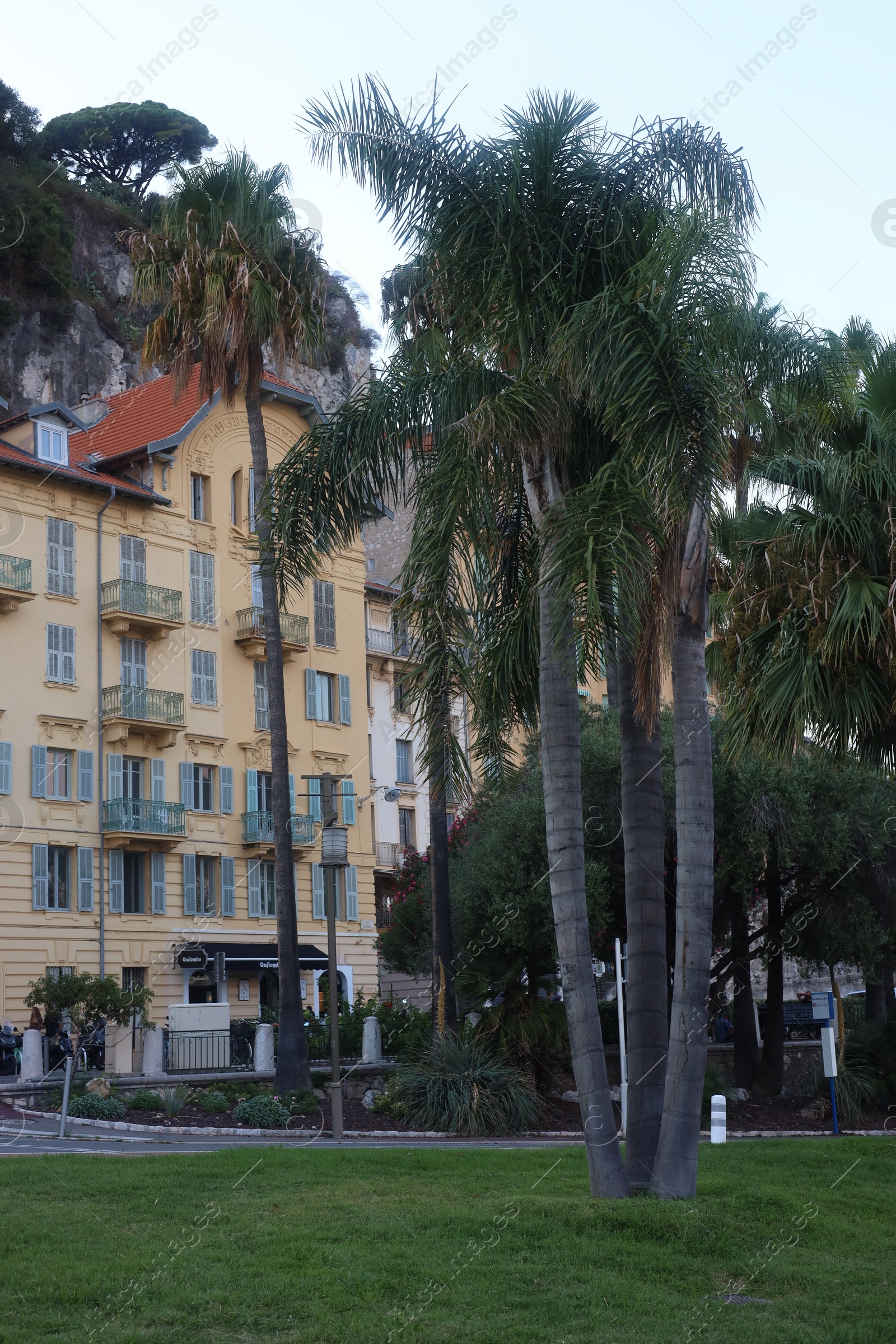 Nice, France - August 24, 2025: Picturesque view of palm trees near building in city Photo of Nice, France - August 24, 2025: Picturesque view of palm trees near building in city