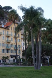 Photo of Nice, France - August 24, 2025: Picturesque view of palm trees near building in city