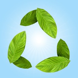 Image of Recycle sign made of green leaves on light blue background
