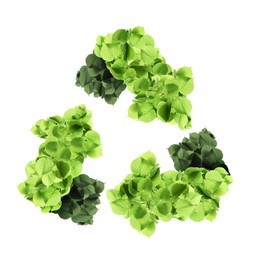 Image of Recycle sign. Chasing arrows with pattern of green leaves on white background