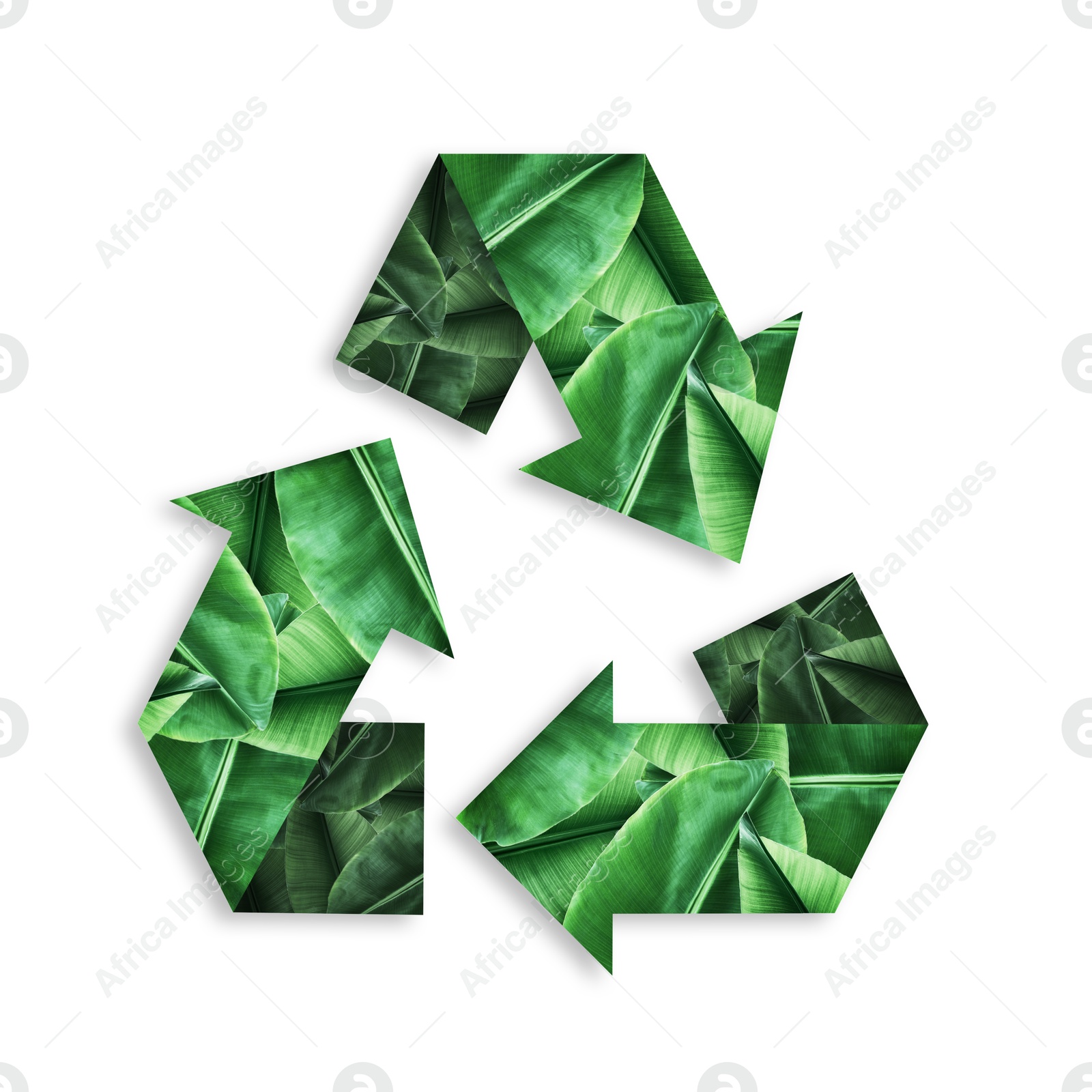 Image of Recycle sign. Chasing arrows with pattern of green leaves on white background