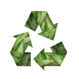 Image of Recycle sign. Chasing arrows with pattern of green leaves on white background
