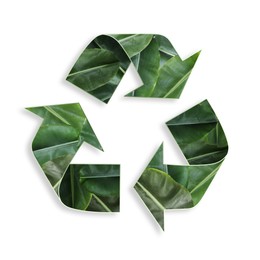 Image of Recycle sign. Chasing arrows with pattern of green leaves on white background