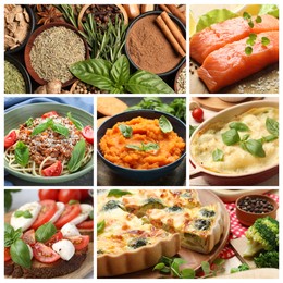 Image of Seasoned taste. Collection of dishes with added herbs and set of spices