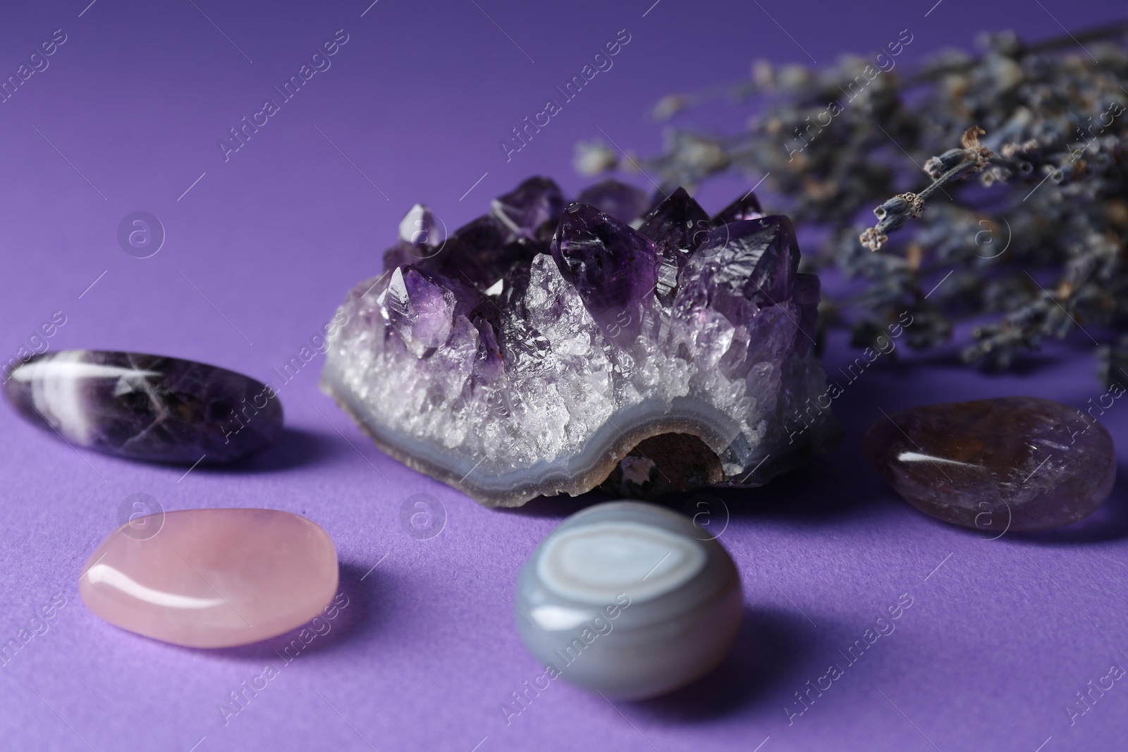 Photo of Beautiful amethyst gemstone and lavender flowers on purple background, closeup