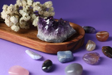 Photo of Different beautiful gemstones and flowers on purple background, closeup
