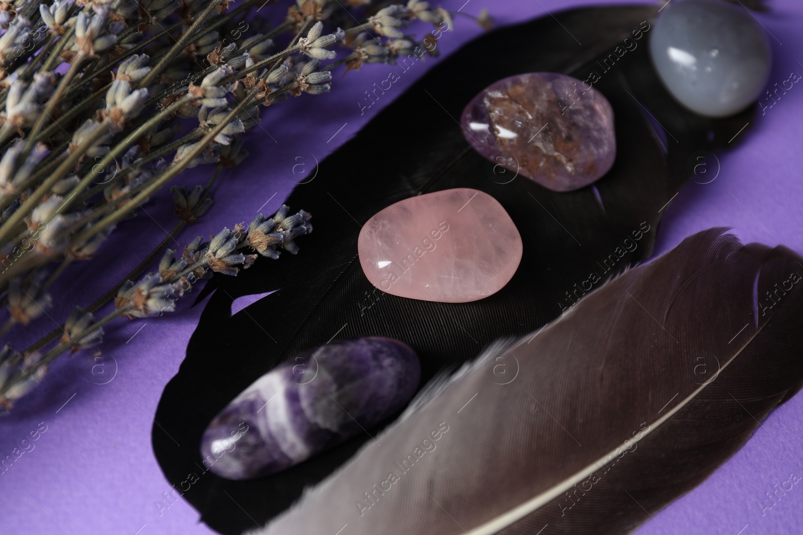 Photo of Different beautiful gemstones in bowl, feathers and lavender flowers on purple background, closeup
